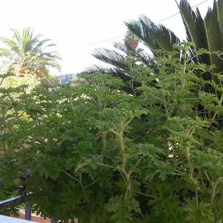 Chrisevgeni With Elevator Casa vacanze *